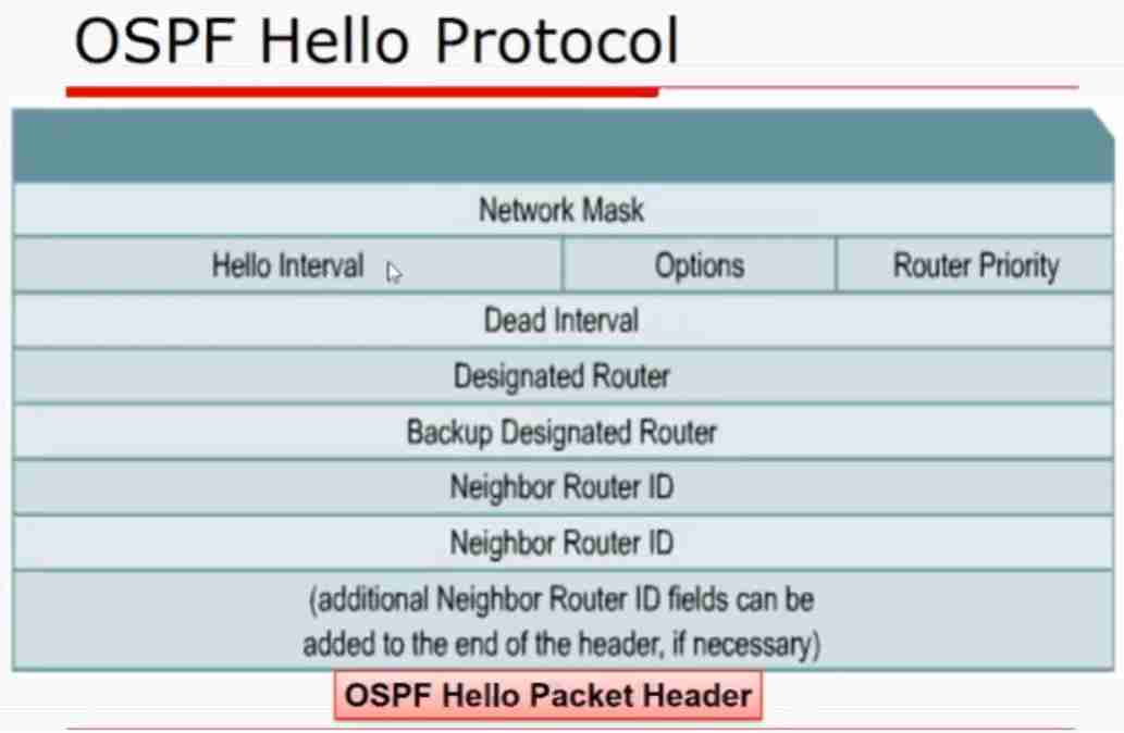 OSPF_Hello